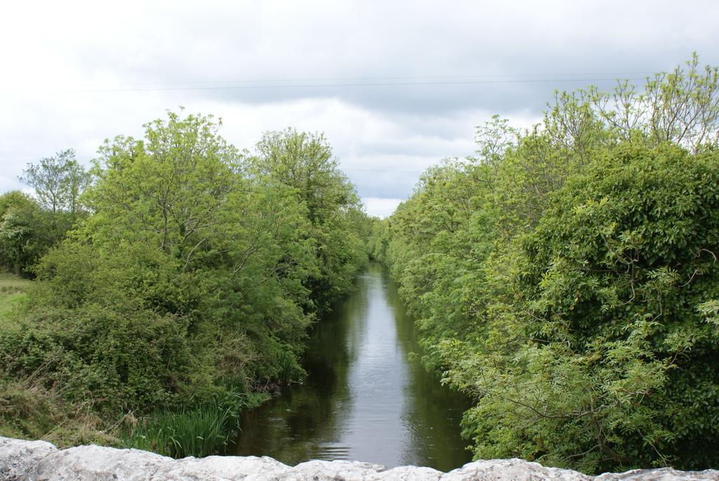 B&B The Silver Eel Strokestown Extérieur photo